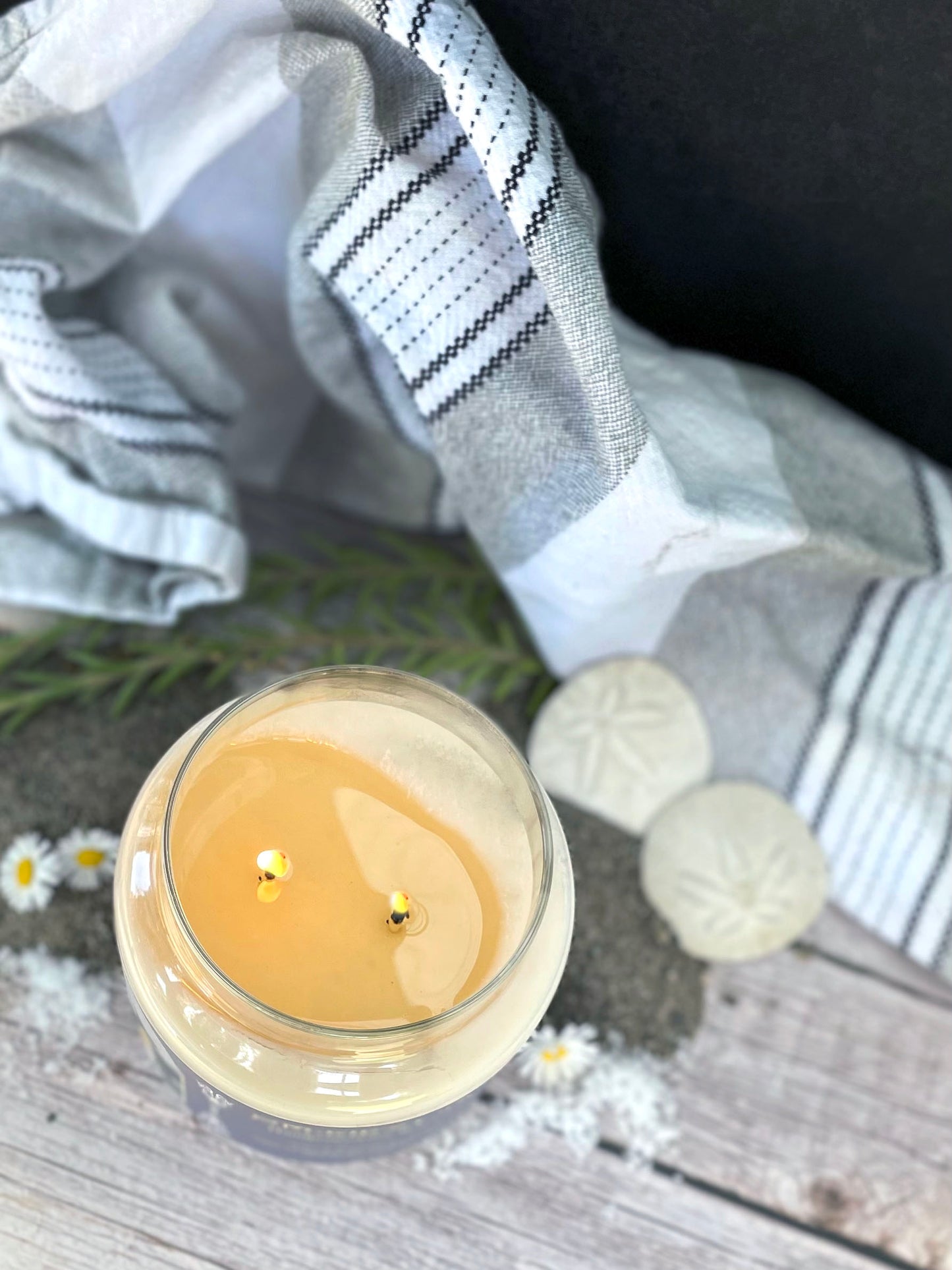 Selkie's Cove || 16 oz. Double-Wick Candle